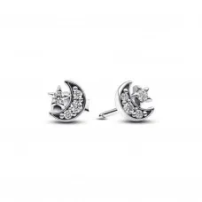 Ladies' Earrings Pandora 292990C01