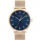 Men's Watch Calvin Klein 25200314