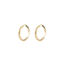 Ladies' Earrings Guess JUBE04194JWYGT-U