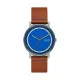 Reloj Hombre Skagen SIGNATUR (Ø 40 mm)