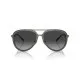Gafas de Sol Hombre Emporio Armani EA 2145