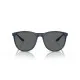 Gafas de Sol Hombre Emporio Armani EA 4210