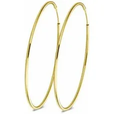 Earrings New Bling 9NB-0564