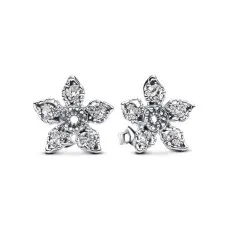 Ladies' Earrings Pandora 293573C01 Sterling silver 925 Silver