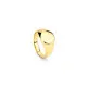 Men's Ring Radiant RH000131-26 26