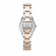 Reloj Mujer Lucien Rochat R0453114503 (Ø 32 mm)