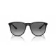 Gafas de Sol Hombre Emporio Armani EA 4210