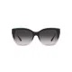 Ladies' Sunglasses Emporio Armani EA 4198