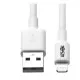 Cable USB a Lightning Eaton M100-003-WH Blanco 1 m