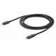 Cable USB C Startech USB315CC2M 2 m Black