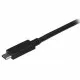 Cable USB C Startech USB315CC2M 2 m Black
