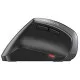 Wireless Mouse Cherry MW 4500 Black 1200 DPI Wireless Ergonomic Left-handed