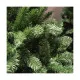 Árbol de Navidad EDM 680314 Pino