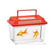 Caja para insectos Lifetime