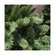 Christmas Tree EDM Pinewood Green (210 cm)