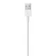 Lightning Cable Apple ME291ZM/A 50 cm White