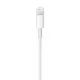 Lightning Cable Apple ME291ZM/A 50 cm White
