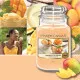 Scented Candle Yankee Candle Mango Ice Cream 623 g