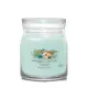 Vela Perfumada Yankee Candle Aloe & Agave 368 g
