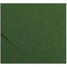 Cards Iris Amazon Green 185 g 50 x 65 cm (25 Units)