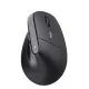 Ergonomic Optical Mouse Trust Bayo II Black