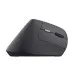 Ergonomic Optical Mouse Trust Bayo II Black