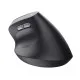 Ergonomic Optical Mouse Trust Bayo II Black