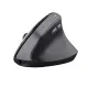 Ergonomic Optical Mouse Trust Bayo II Black