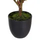 Decorative Plant Polyester Polyethylene Iron 30 x 30 x 60 cm Magnolia
