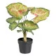 Planta Decorativa 48 x 46 x 55 cm Rojo Verde PVC