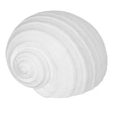 Decorative Figure White Snail 15 x 11 x 9 cm