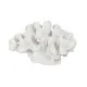 Decorative Figure White Coral 19 x 14 x 11 cm