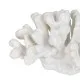 Decorative Figure White Coral 19 x 14 x 11 cm