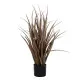 Decorative Plant PVC Steel Cement 10 x 10 x 9 cm 61 cm