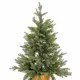 Christmas Tree Green Golden Polyethylene 82 x 82 x 120 cm