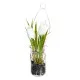 Decorative Plant Polyester Polyethylene Iron 7 x 7 x 24 cm