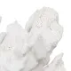 Decorative Figure White Coral 29 x 20 x 21 cm