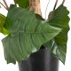 Decorative Plant PVC Iron 130 cm