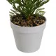 Decorative Plant Polyethylene Plastic Fern 26 x 26 x 45 cm