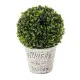 Decorative Plant Polyethylene polypropylene Cement 17 x 17 x 27 cm