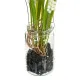 Decorative Plant Polyester Polyethylene Iron 7 x 7 x 18 cm