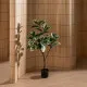 Decorative Plant Rubber polypropylene 50 x 50 x 120 cm