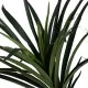 Decorative Plant Rubber polypropylene 70 x 70 x 130 cm
