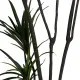 Decorative Plant Rubber polypropylene 90 X 90 X 220 CM