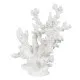 Decorative Figure White Resin Coral 17 x 17 x 20 cm