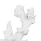 Decorative Figure White Resin Coral 17 x 17 x 20 cm