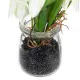 Decorative Plant Polyester Polyethylene Iron 7 x 7 x 20 cm