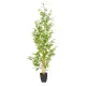 Decorative Plant Polyethylene Bamboo 90 x 86 x 220 cm