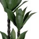 Decorative Plant PVC Cement 30 x 30 x 120 cm