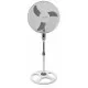 Ventilador de Pie Esperanza EHF002WE Blanco Gris 50 W
